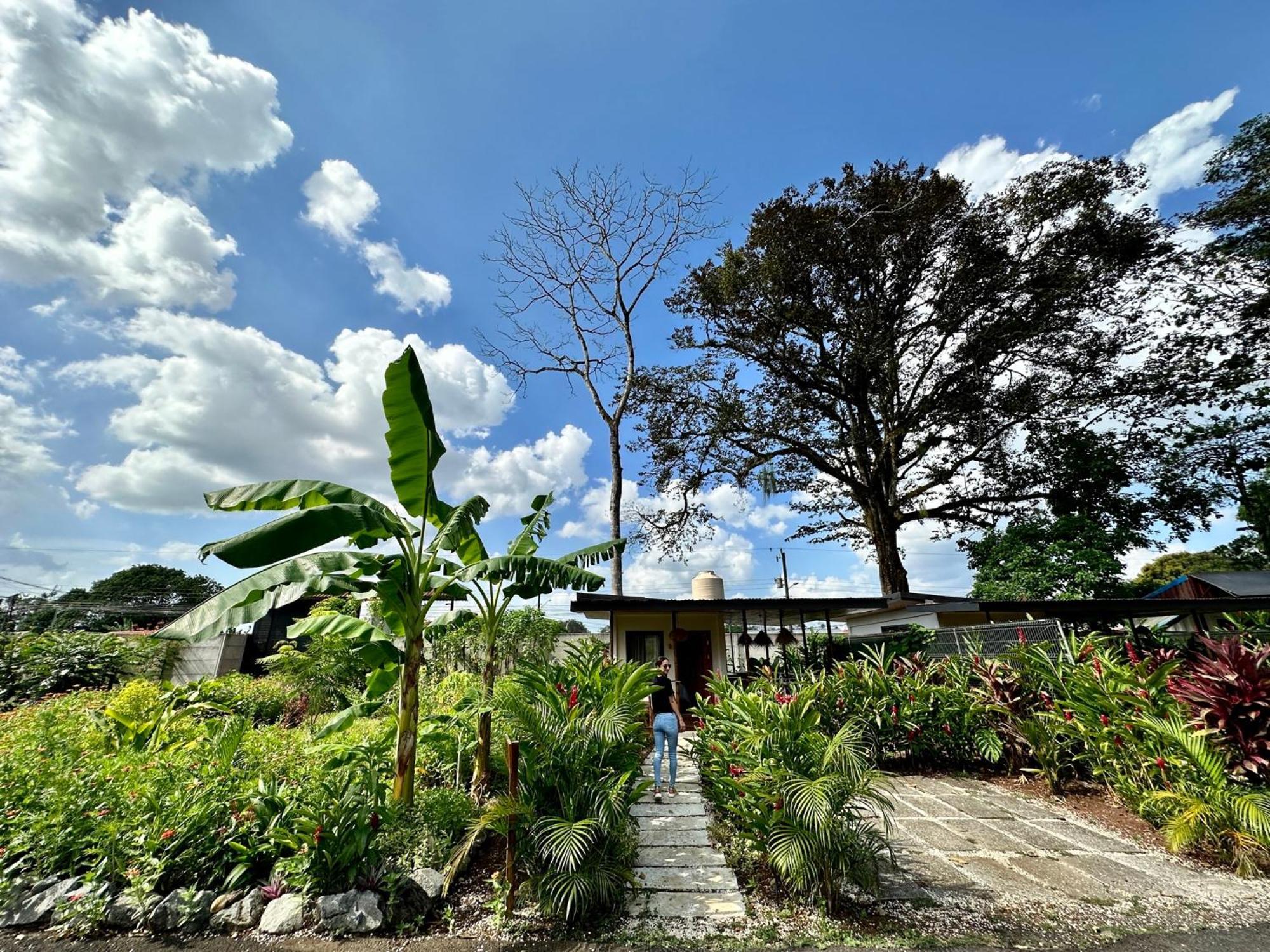 Almendros Eco-Villas Ла Фортуна Экстерьер фото