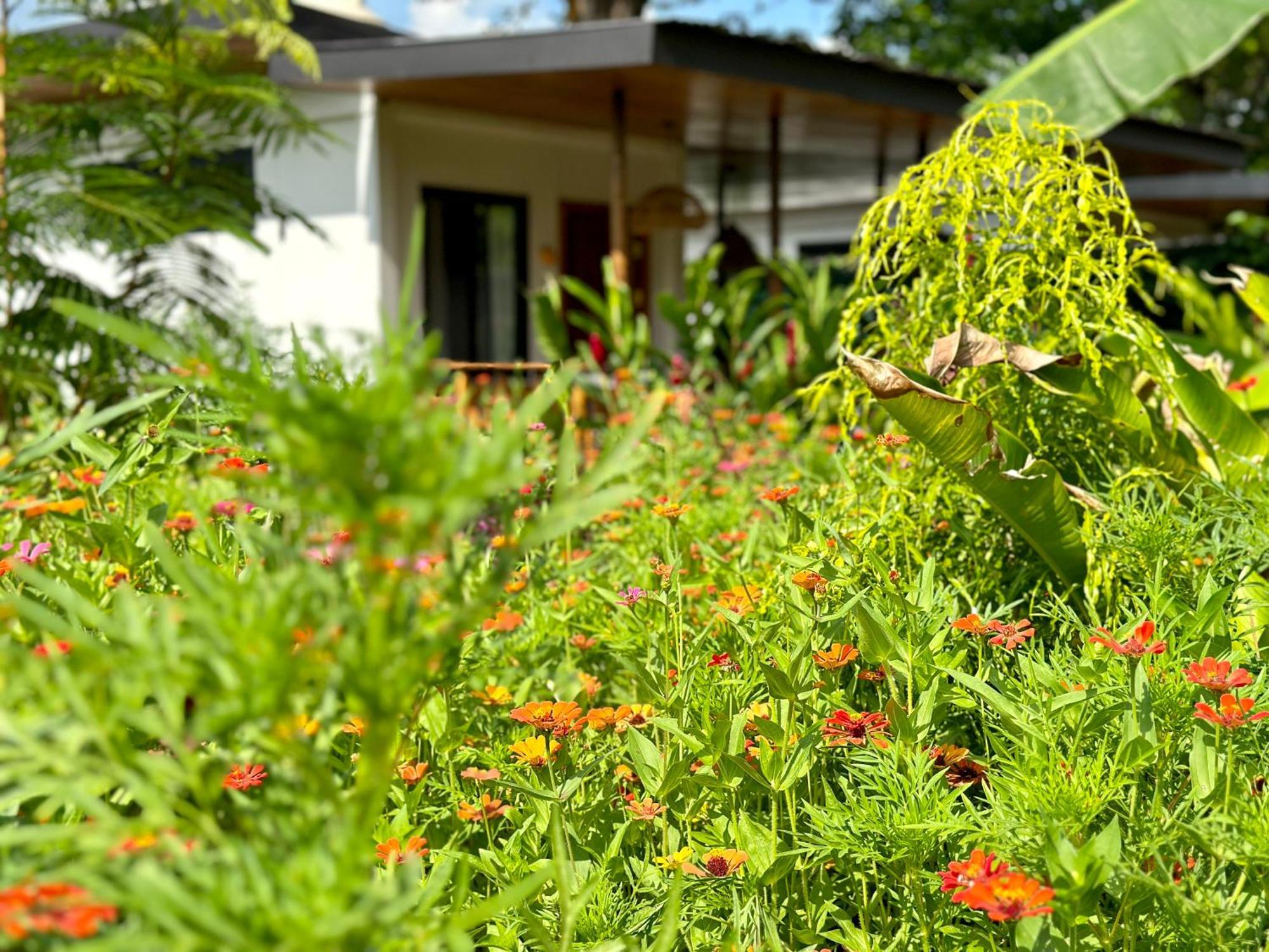 Almendros Eco-Villas Ла Фортуна Экстерьер фото